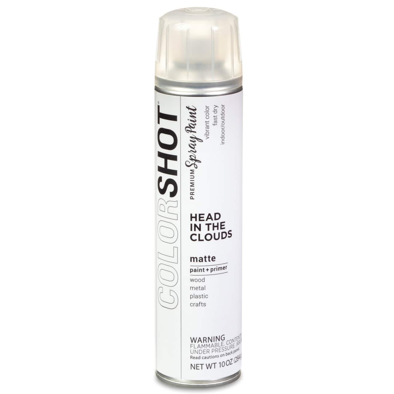 COLORSHOT® Head In the Clouds Matte Spray Paint